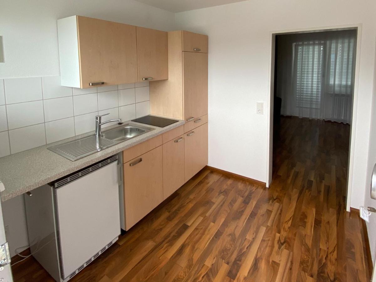 Zum Ziel Hotel Grenzach-Wyhlen Bei Basel Bagian luar foto