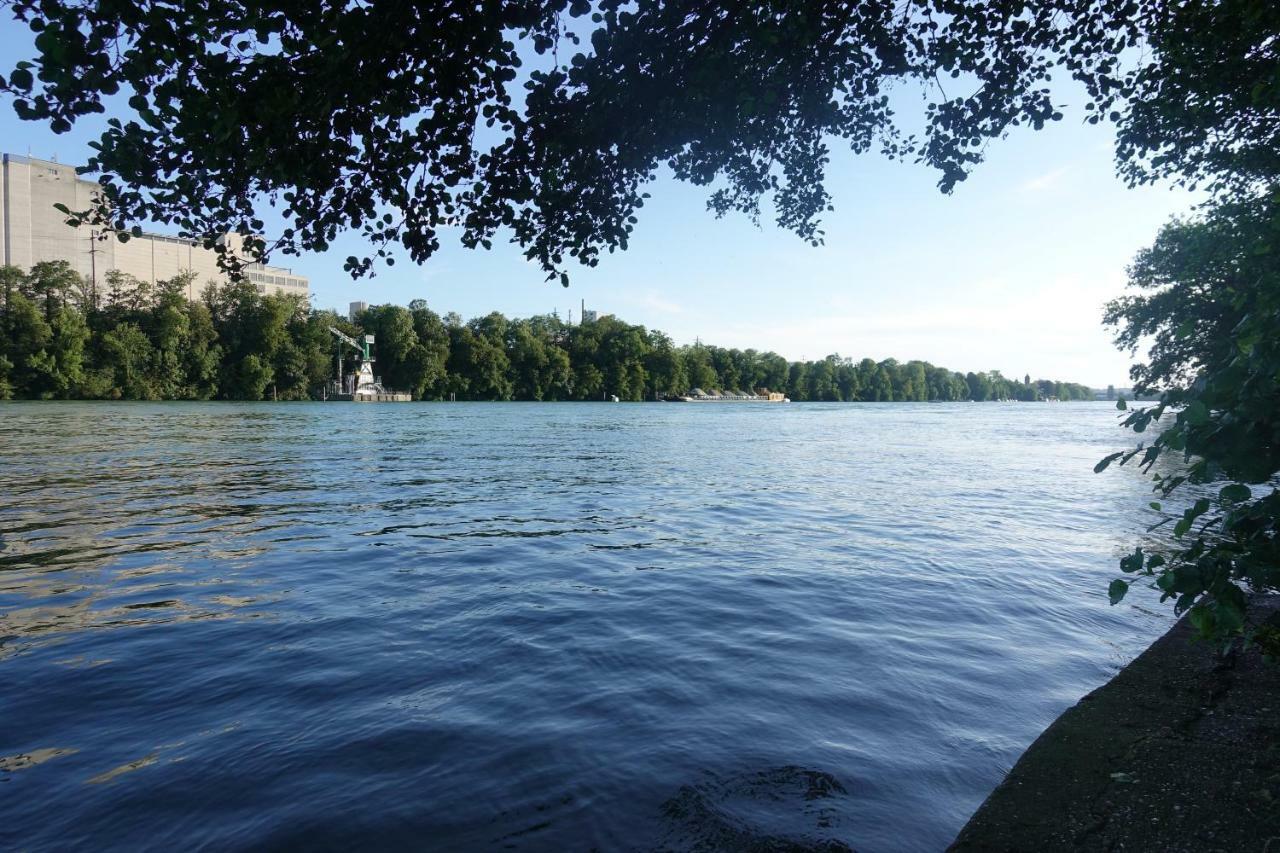 Zum Ziel Hotel Grenzach-Wyhlen Bei Basel Bagian luar foto